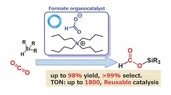 1660318661527 Fig1formatesaltsserveasactiveandselectivecatalysts