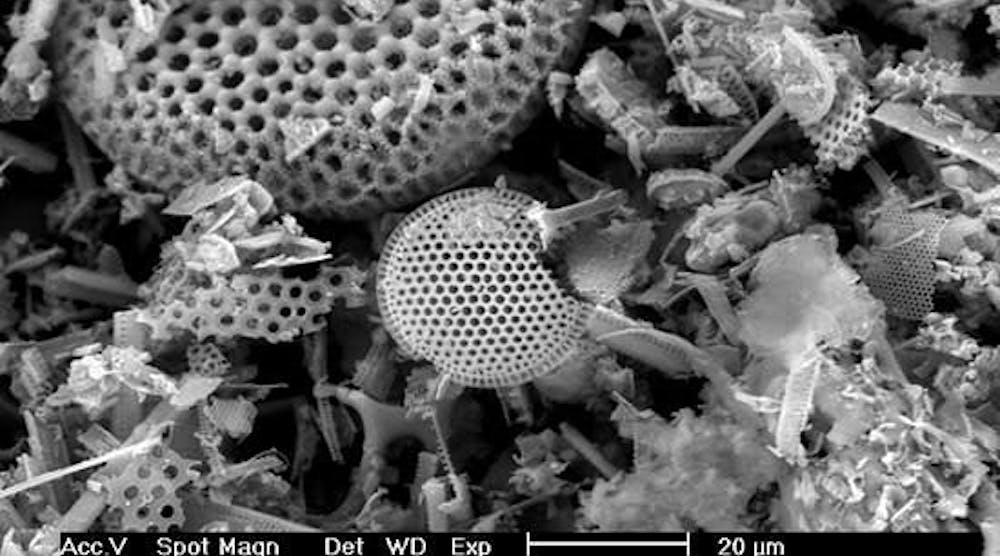 Figure-1.-This-material-Celite-is-made-of-the-microscopic-silica-skeletons-of-prehistoric-plants