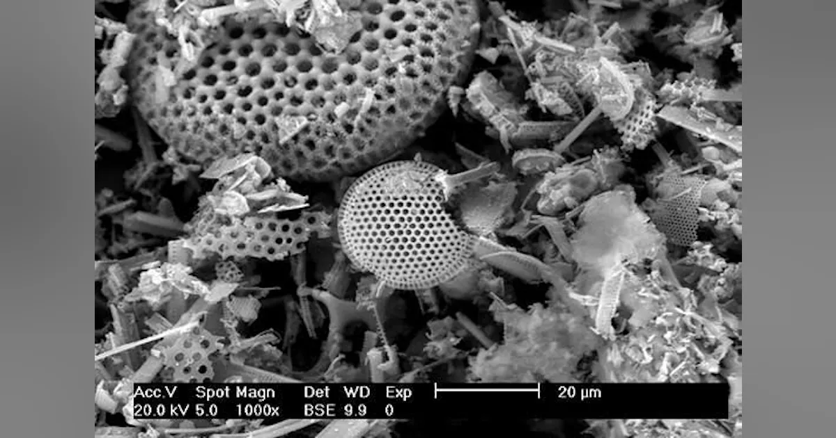 Make The Most of Filter Aids | Chemical Processing | Chemical Processing