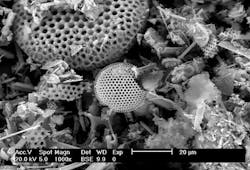 Figure-1.-This-material-Celite-is-made-of-the-microscopic-silica-skeletons-of-prehistoric-plants
