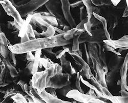 Figure-3.-When-filtration-captures-valuable-metals-a-combustible-material-like-Fibracel-can-ease-their-recovery Figure-3.-When-filtration-captures-valuable-metals-a-combustible-material-like-Fibracel-can-ease-their-recovery