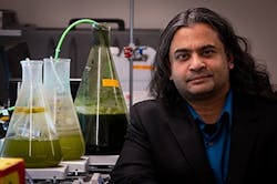 1660318746126 Fig1swomitramohanty 1660318746126 Fig1swomitramohanty