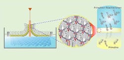 figure-1-amine-and-aldehyde-molecules-paired-in-hexagonal-structures figure-1-amine-and-aldehyde-molecules-paired-in-hexagonal-structures
