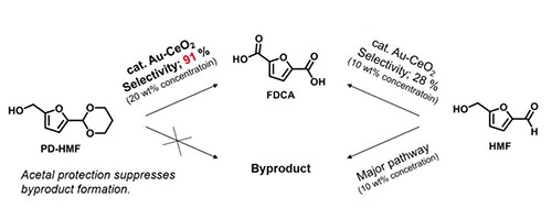 1660318801040 Reactionpathwayscopy