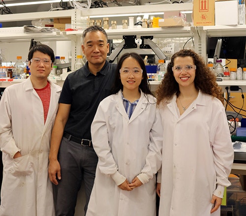 1660318802888 Fig1catalystresearchersatyale