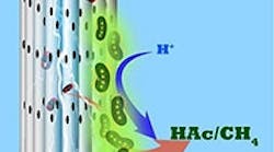 1660318805273 Kaustmicrobes 1660318805273 Kaustmicrobes