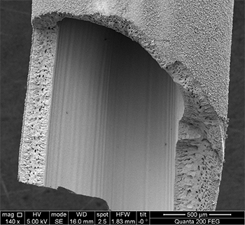 1660318887367 Fig1highperformancemembrane