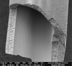 fig-1-high-performance-membrane fig-1-high-performance-membrane