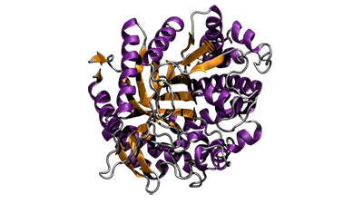 1660318888679 Figure1