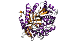 Figure-1.-Scientists-at-Imperial-College-London-altered-the-glucosidase-enzyme-to-achieve-faster-biomass-production