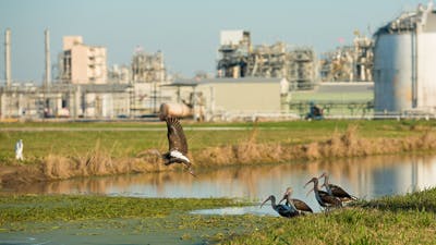 1660318928890 Fig1watermanagementisoneoffourpillarsofdowsvaluingnaturestrategy