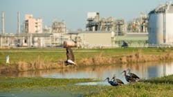 fig-1-Water-management-is-one-of-four-pillars-of-Dows-Valuing-Nature-strategy fig-1-Water-management-is-one-of-four-pillars-of-Dows-Valuing-Nature-strategy