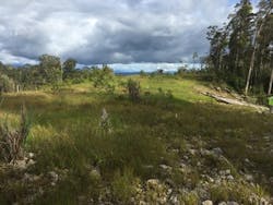 fig-2-Maintaining-repairing-and-restoring-areas-under-which-gas-pipelines-pass-is-crucial-part-of-Papua-New-Guinea-initiative fig-2-Maintaining-repairing-and-restoring-areas-under-which-gas-pipelines-pass-is-crucial-part-of-Papua-New-Guinea-initiative