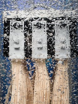 Figure2-ZeeWeedUF Figure2-ZeeWeedUF