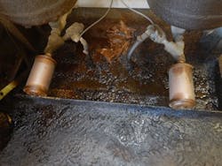 Fig-3-Telltale-Signs Fig-3-Telltale-Signs