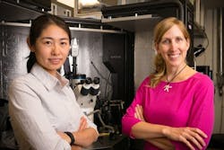 1660319058697 Fig1chiralresearchers 1660319058697 Fig1chiralresearchers