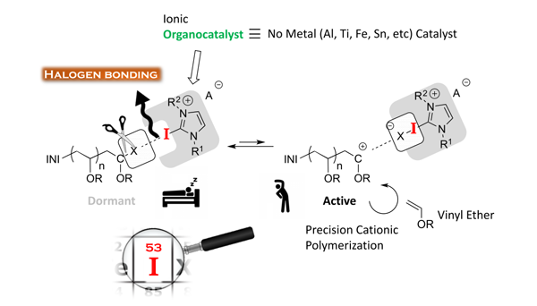 1660319073851 Fig2metalfreepolymerization