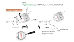fig-2-Metal-Free-Polymerization fig-2-Metal-Free-Polymerization