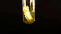 fig-1-paper-immersed-in-aqueous-solution-containing-cadmium-sulfide-quantum-dots-breaks-down-to-form-hydrogen-when-exposed-to-sunlight