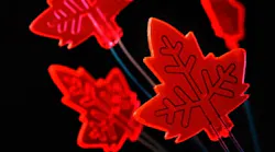 Leaf-Inspired-Microphotoreactors-fig-1