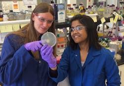 1660319412843 Fredericandmukhopadhyayjbeigreenchemfig1 1660319412843 Fredericandmukhopadhyayjbeigreenchemfig1