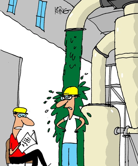 1660320017191 Cartoon 110501