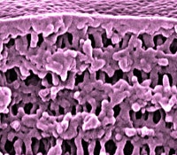 1660320161005 1202 Inprocess Nanoporosity Ts