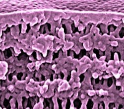 1660320161005 1202 Inprocess Nanoporosity Ts 1660320161005 1202 Inprocess Nanoporosity Ts