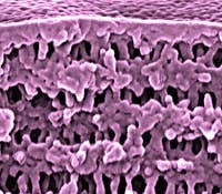 1202_inprocess_nanoporosity_ts 1202_inprocess_nanoporosity_ts