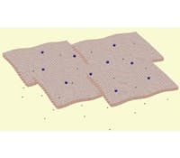 1112_inprocess_nanosheets_ts 1112_inprocess_nanosheets_ts