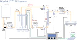 1108_cover_fig1 1108_cover_fig1