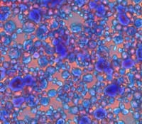 1008_inprocess_biofuels_ts 1008_inprocess_biofuels_ts