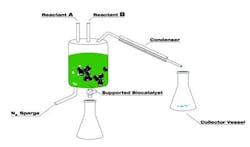 1660320716316 New Eastman 1660320716316 New Eastman