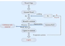1660320783430 Wood Conversion Process Resized1