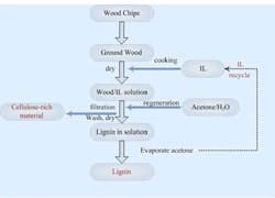 1660320783430 Wood Conversion Process Resized1 1660320783430 Wood Conversion Process Resized1