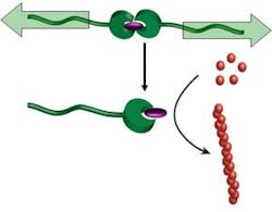 1660320861208 Ripcord 1660320861208 Ripcord