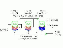 CP0812_InSites_Figure_resized CP0812_InSites_Figure_resized