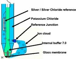 Maintenance_pH Maintenance_pH