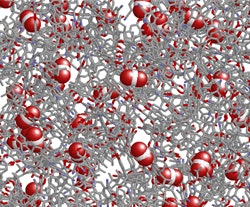 1660321129345 Crispy Noodle