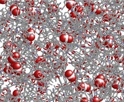 Crispy_noodle Crispy_noodle