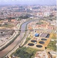 pai_sao_paulo pai_sao_paulo