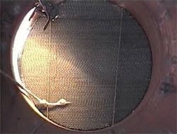 design_fig5 design_fig5