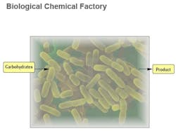 figure2_design figure2_design