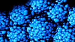 1660328947589 Fig2 Cover June 1660328947589 Fig2 Cover June