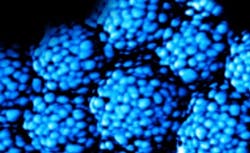 fig2_cover_june fig2_cover_june