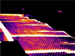 figure5_web figure5_web