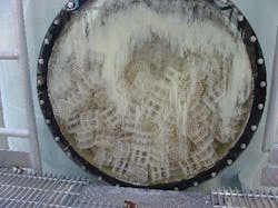 QPACnoCalciumDep_web QPACnoCalciumDep_web