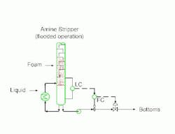 1660329043664 Cp0601 Insitesfigure1 Web 1660329043664 Cp0601 Insitesfigure1 Web