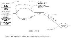 fig6_bow_tie_small fig6_bow_tie_small