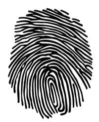 resizedimage200248-CP0410_EHS_Fig2A resizedimage200248-CP0410_EHS_Fig2A